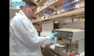 مواد غذایی خانم باردار